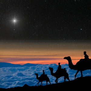 Follow the Star Necklace and 6 1/2” bracelet sets - Bee The Light