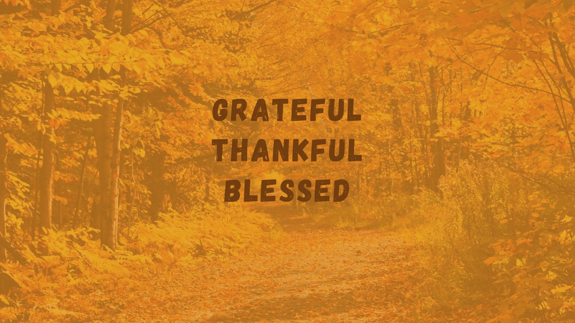 Grateful Thankful Blessed Desktop Wallpapers - Bee The Light