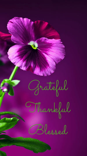 Grateful, Thankful, Blessed Phone Wallpapers - Bee The Light