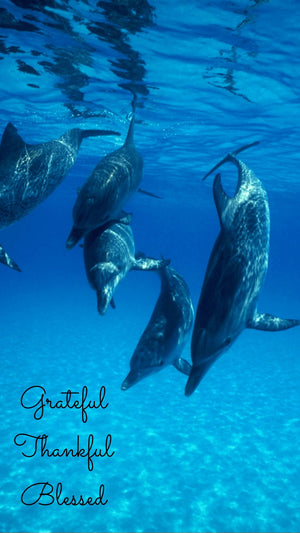 Grateful, Thankful, Blessed Phone Wallpapers - Bee The Light