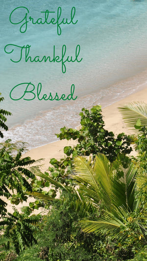 Grateful, Thankful, Blessed Phone Wallpapers - Bee The Light