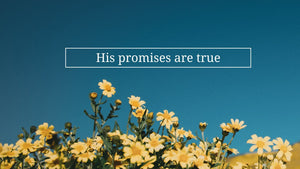 “His Promises Are True” Desktop Wallpaper - Bee The Light