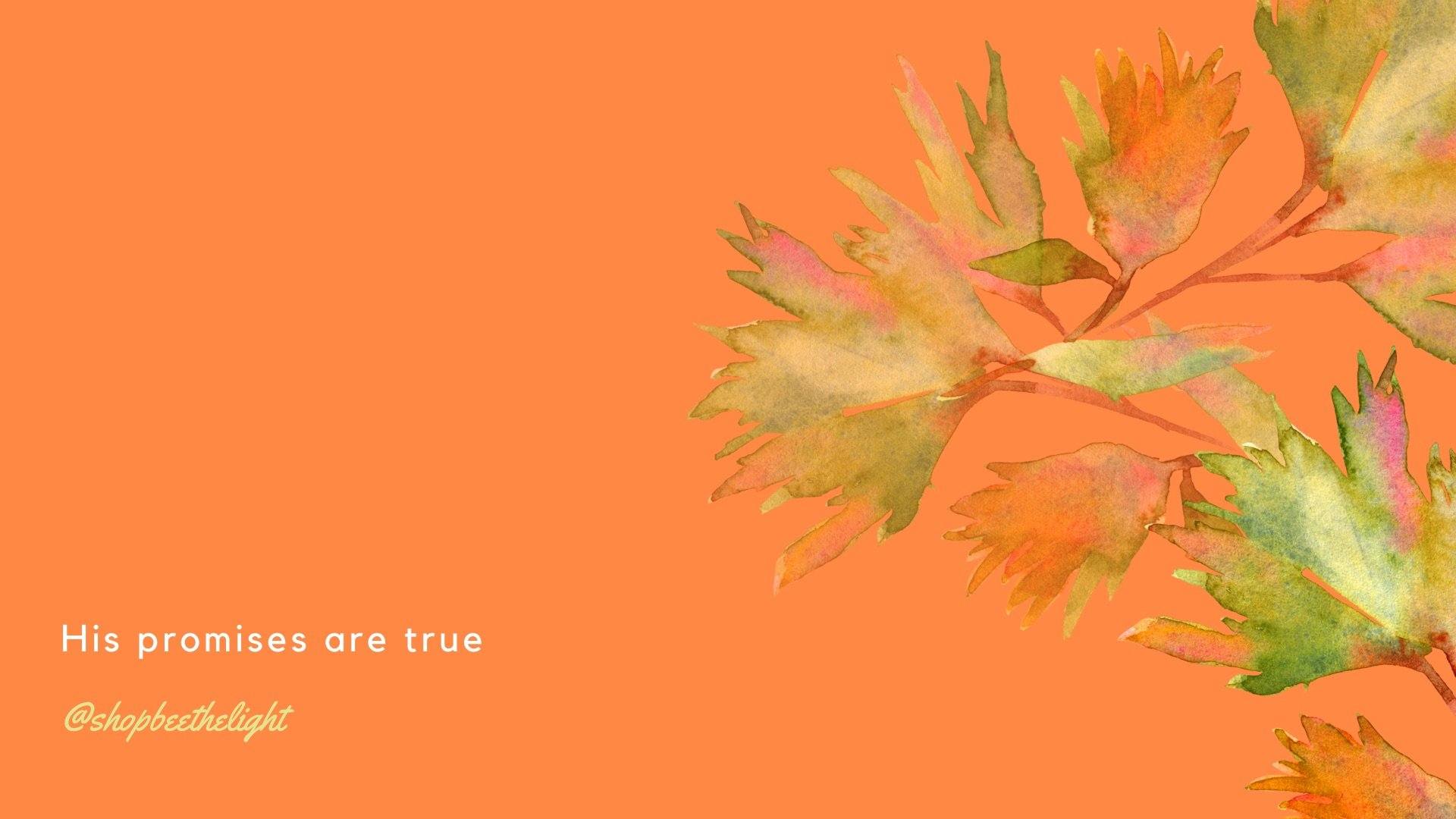 “His Promises Are True” Desktop Wallpaper - Bee The Light