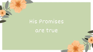“His Promises Are True” Desktop Wallpaper - Bee The Light