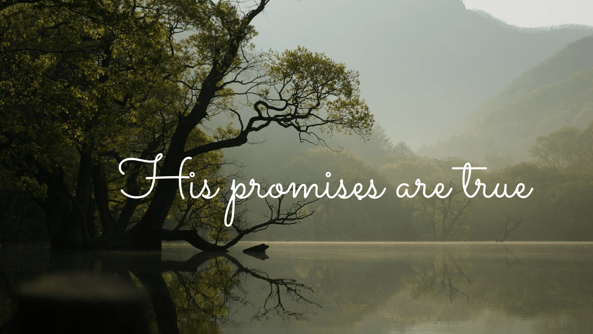 His Promises Are True Desktop Wallpaper Bee The Light 